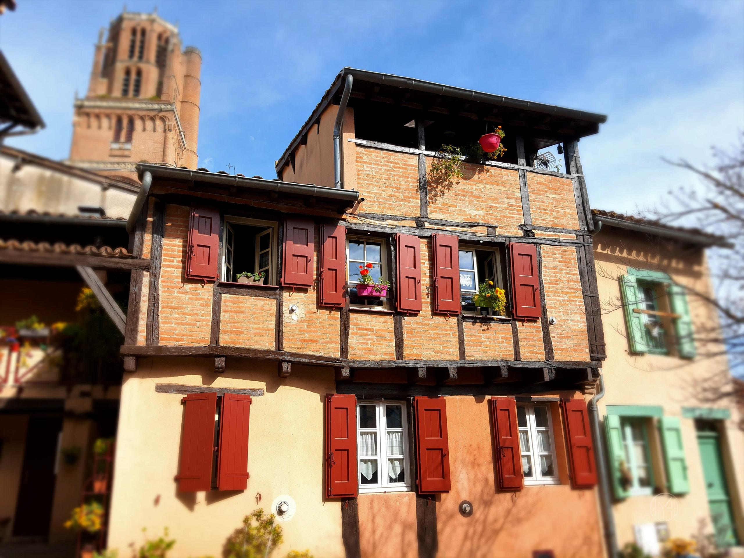 Albi